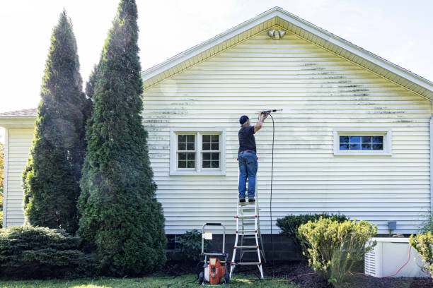 Pressure Washing Services for Businesses in Willow Springs, IL